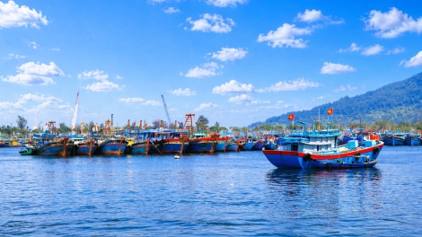 Đà Nẵng lập hàng rào số chống khai thác thủy sản bất hợp pháp