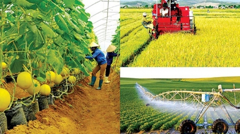 Tăng cường hợp tác công – tư trong canh tác nông nghiệp an toàn