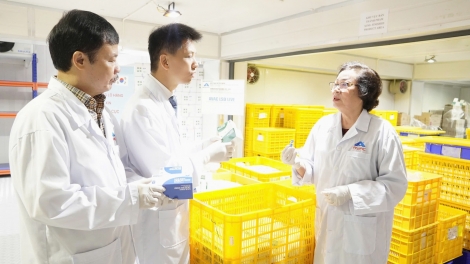 Xuất khẩu hơn 1 triệu liều vắc-xin viêm da nổi cục trên trâu, bò sang Hàn Quốc