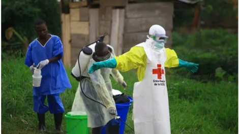      Báo động dịch Ebola ở Uganda, Cônggo   