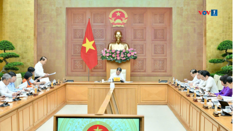 Bản tin 15h 11/5/2026