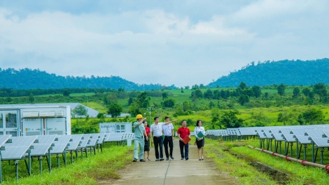 Bảo hiểm nông nghiệp: “Tấm đệm” tài chính giúp nông dân vượt rủi ro, phục hồi sản xuất