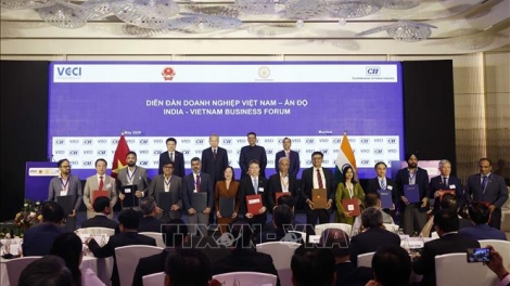 Diễn đàn Doanh nghiệp Việt Nam - Ấn Độ: Nâng tầm kết nối chiến lược trong chuỗi giá trị toàn cầu mới