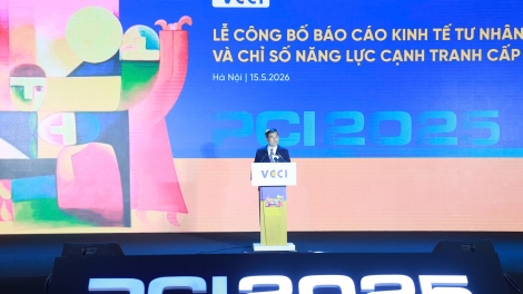 PCI 2.0: Từ đo lường môi trường kinh doanh sang đánh giá hệ sinh thái phát triển tư nhân