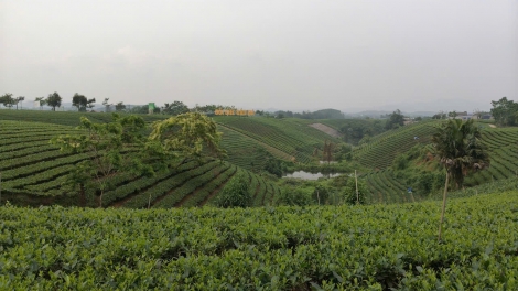 Theo dòng thời sự sáng 25/5/2026