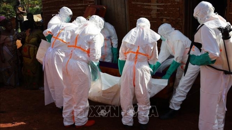 Thế giới tăng tốc ứng phó dịch Ebola bùng phát tại Trung Phi