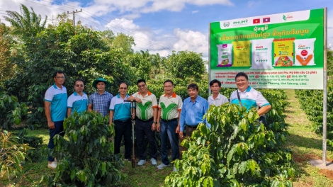 Phú Mỹ đồng hành cùng nông dân Lào phát triển nông nghiệp hiện đại  