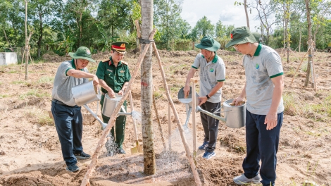  Cà Mau: Phát động Tết trồng cây “Đời đời nhớ ơn Bác Hồ”