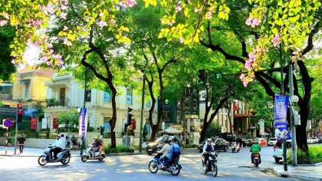 Dự báo thời tiết ngày 6/6/2026: Miền Bắc nắng nóng quay trở lại; Trung Bộ tiếp tục khô nóng