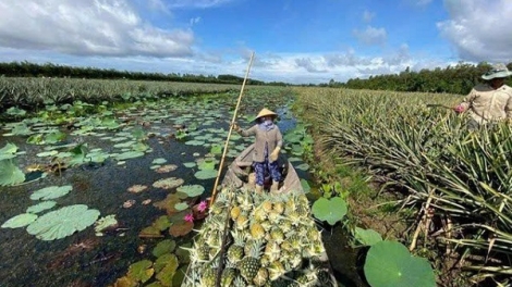 Biến đổi khí hậu và lời giải từ những mô hình sản xuất thích ứng