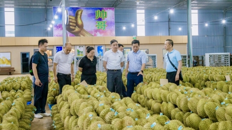 Theo dòng thời sự sáng 17/6/2026