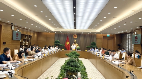 Phó Thủ tướng Lê Tiến Châu chủ trì cuộc họp góp ý 3 dự án luật