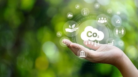 Vận hành thị trường carbon: các doanh nghiệp đã sẵn sàng đến đâu?
