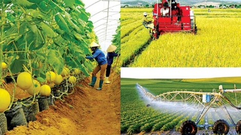 Những đột phá mới vì người nông dân trong nhiệm kỳ 2026-2031 