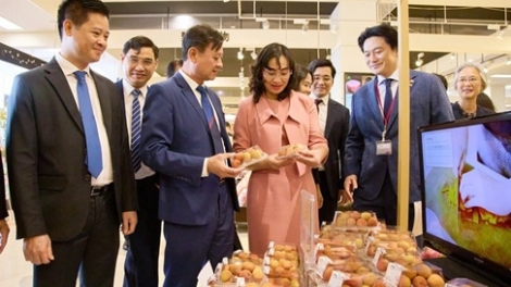 Tuần hàng Việt Nam 2026 tại Nhật Bản và nhiều thị trường châu Á