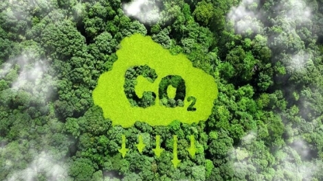 Nông nghiệp xanh - Đường băng cho mục tiêu Net Zero (16/06/2026)