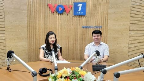 Tăng cường giải pháp đảm bảo điện trong thời gian cao điểm nắng nóng ở miền Bắc