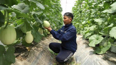 Mô hình tăng trưởng mới - Khoa học công nghệ, đổi mới sáng tạo là trung tâm