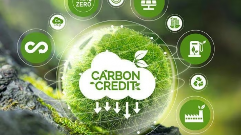 Vận hành thị trường carbon: Các doanh nghiệp đã sẵn sàng đến đâu?