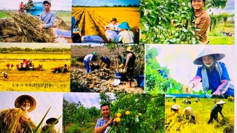 Chuyển đổi tư duy phát triển – đổi mới ngành nông nghiệp theo Nghị quyết Đại hội XIV của Đảng