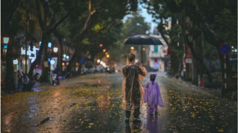  Dự báo thời tiết ngày 10/6/2026: Bắc Bộ mưa dông diện rộng, Trung Bộ duy trì thời tiết dịu mát