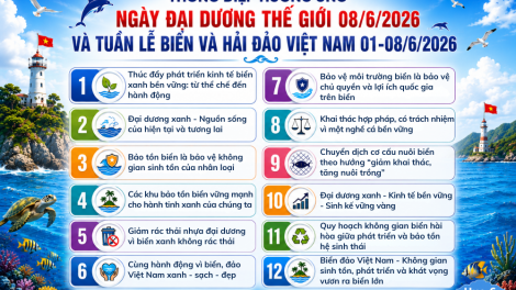 Ngày Đại dương thế giới: Bảo tồn biển vì tương lai kinh tế biển xanh 