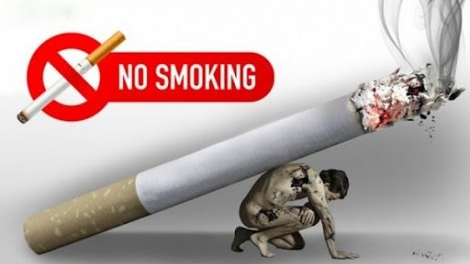 Ngày Thế giới không thuốc lá 31/5