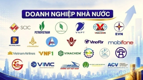 Doanh nghiệp nhà nước: Từ tái cơ cấu đến kiến tạo tăng trưởng
