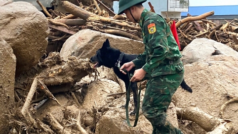  Bộ đội Biên phòng Lai Châu điều chó nghiệp vụ tìm kiếm nạn nhân mất tích