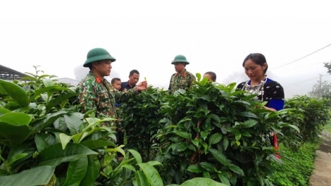 Nghệ An: Phát huy sức mạnh đảng viên trong phát triển kinh tế – xã hội