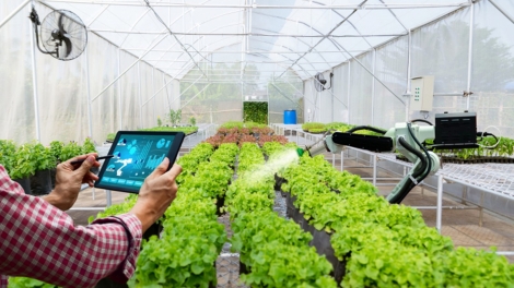 Khoa học công nghệ - Chìa khóa phát triển nông nghiệp xanh ở Hà Nội