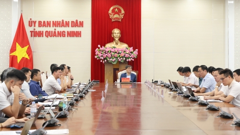 Chủ tịch UBND tỉnh Quảng Ninh chỉ đạo tháo gỡ vướng mắc, bảo đảm tiến độ các dự án truyền tải điện.