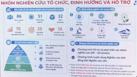 Nghị định 179 của Chính phủ: Bước đột phá trong việc thu hút người học giỏi vào các ngành STEM