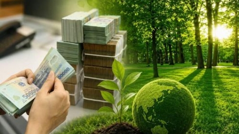 Ngân hàng nhà nước khai thông dòng vốn xanh cho doanh nghiệp