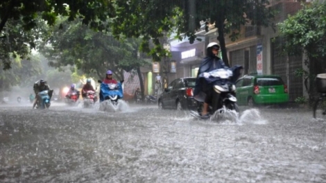 Dự báo thời tiết ngày 24/07/2026: Bắc Bộ mưa lớn, Nam Bộ chiều tối mưa dông