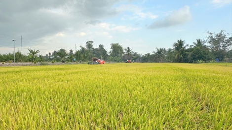 Chuyển đổi xanh để tạo thêm giá trị