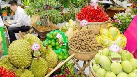 Xuất khẩu rau quả 2 quý cuối năm 2026 – cuộc đua cán đích 10 tỷ USD