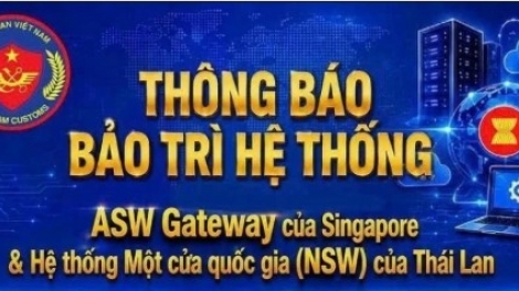 Từ 14h đến 22h hôm nay 22.08.2026 - Bảo trì hệ thống "một cửa" của Singapore và Thái Lan