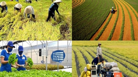 Chuyển đổi xanh – Động lực phát triển nông nghiệp bền vững 