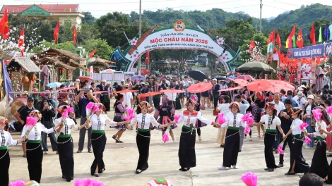 Cao nguyên Mộc Châu rộn ràng tết Độc lập