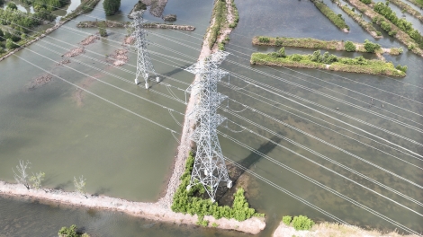 Hoàn thành Dự án TBA 220kV Năm Căn và Đường dây 220kV Năm Căn - Cà Mau 2