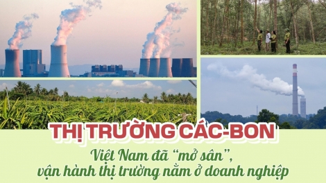 Tạo lập thị trường thúc đẩy phát triển kinh tế xanh, thực hiện Nghị quyết Đạị hội XIV của Đảng