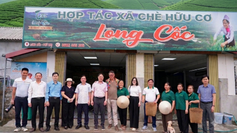 Phát huy tiềm năng giá trị đồi chè Long Cốc, Phú Thọ (26/08/2026)