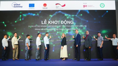 EU và Đức khởi động dự án hỗ trợ ngành lâm nghiệp Việt Nam