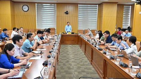 Cấp mã số vùng trồng: rút ngắn thời gian giải quyết hồ sơ