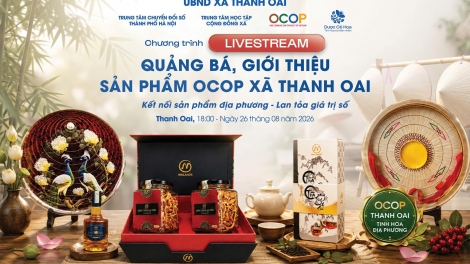 Thanh Oai (Hà Nội) tập huấn, livestream quảng bá sản phẩm OCOP trên nền tảng số