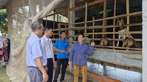 Vốn ưu đãi tiếp sức nông dân phát triển kinh tế 