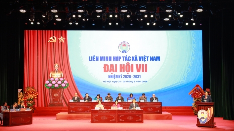 Kinh tế tập thể trước giai đoạn phát triển mới