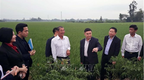Nuôi dưỡng "gốc rễ" hữu nghị Việt-Lào:Tâm huyết với thế hệ trẻ của cố Chủ tịch Quốc hội Xaysomphone