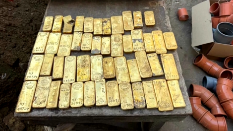 Phát hiện kho vàng trị giá 9 triệu Euro khi sửa nhà tại Bỉ